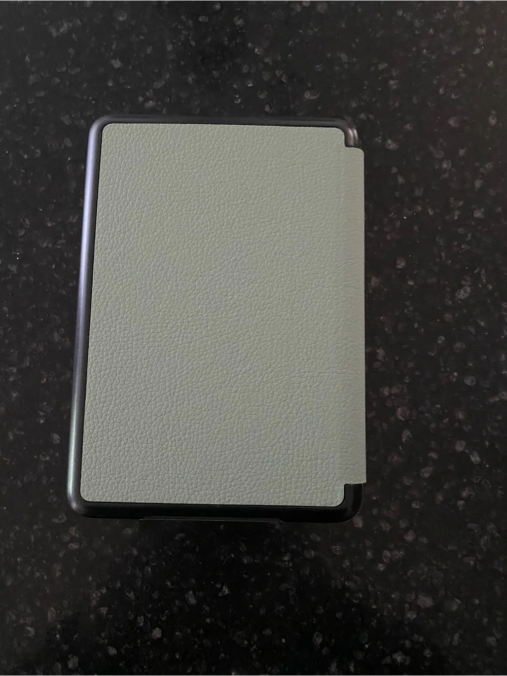 Green Kindle Case 6in
